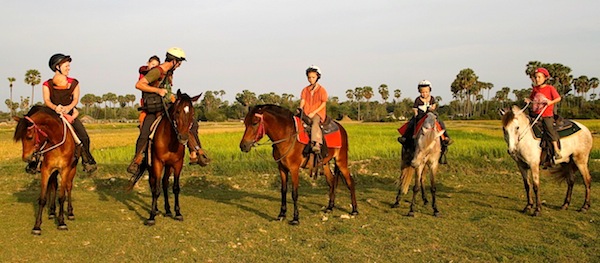 Chris and Jill's mob on horses